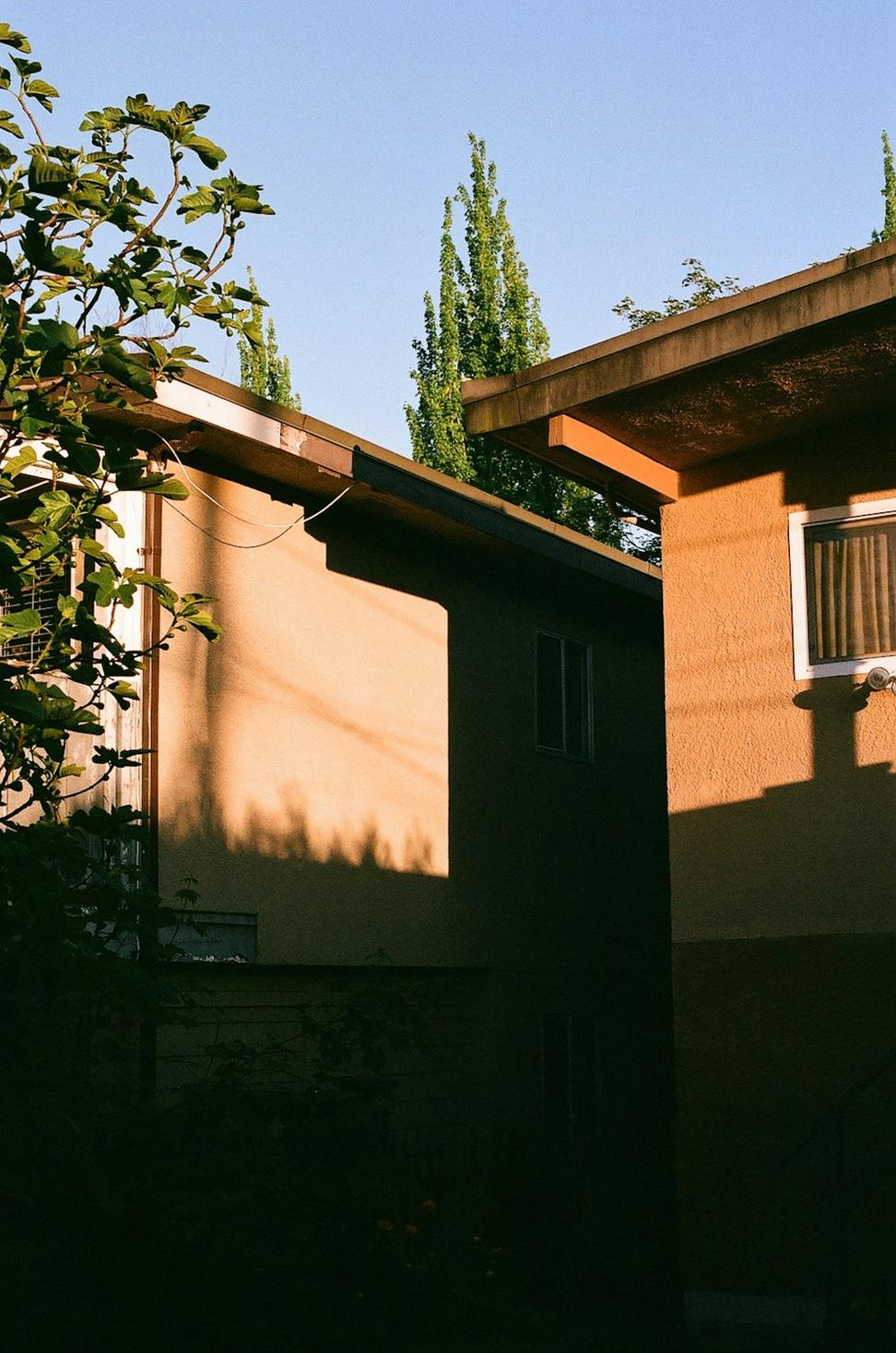 Rosedale Family Home